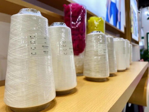 多图 原料产品同台展出 丝丽雅造 纺织品抢镜上海国际纱线展
